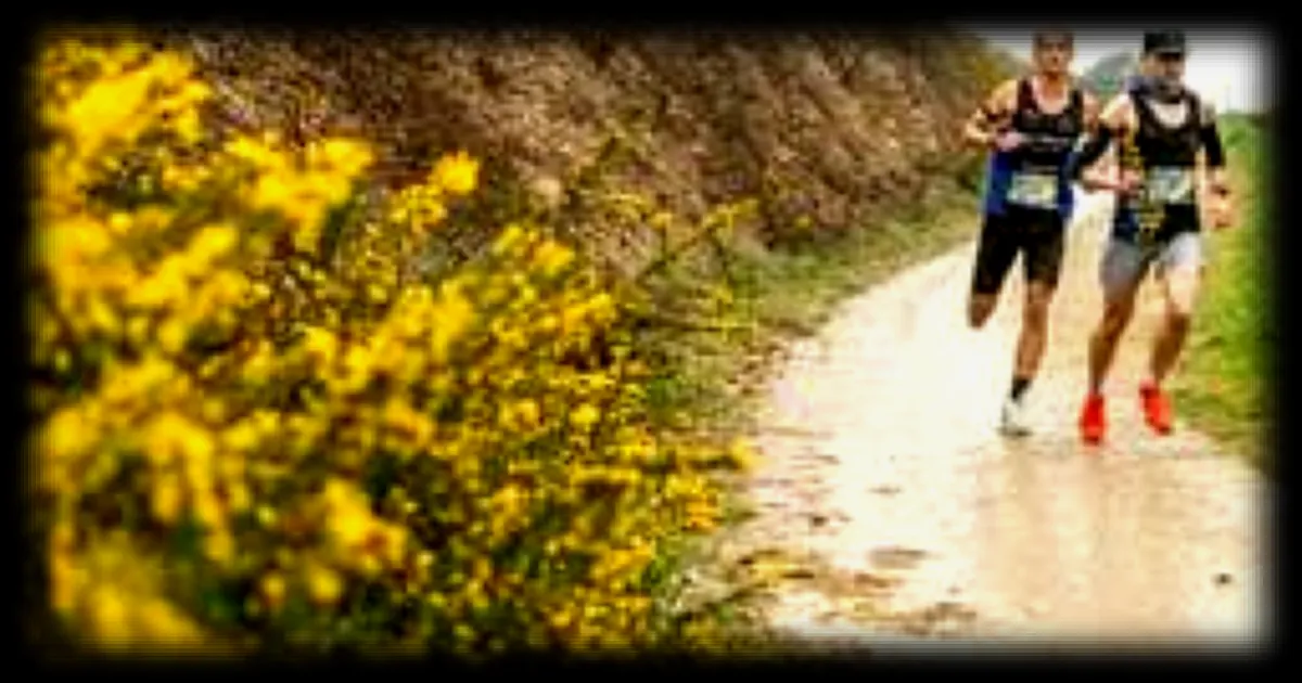 Le semi-marathon du Finistère : une première édition sous la pluie et déjà des projets pour l'année prochaine