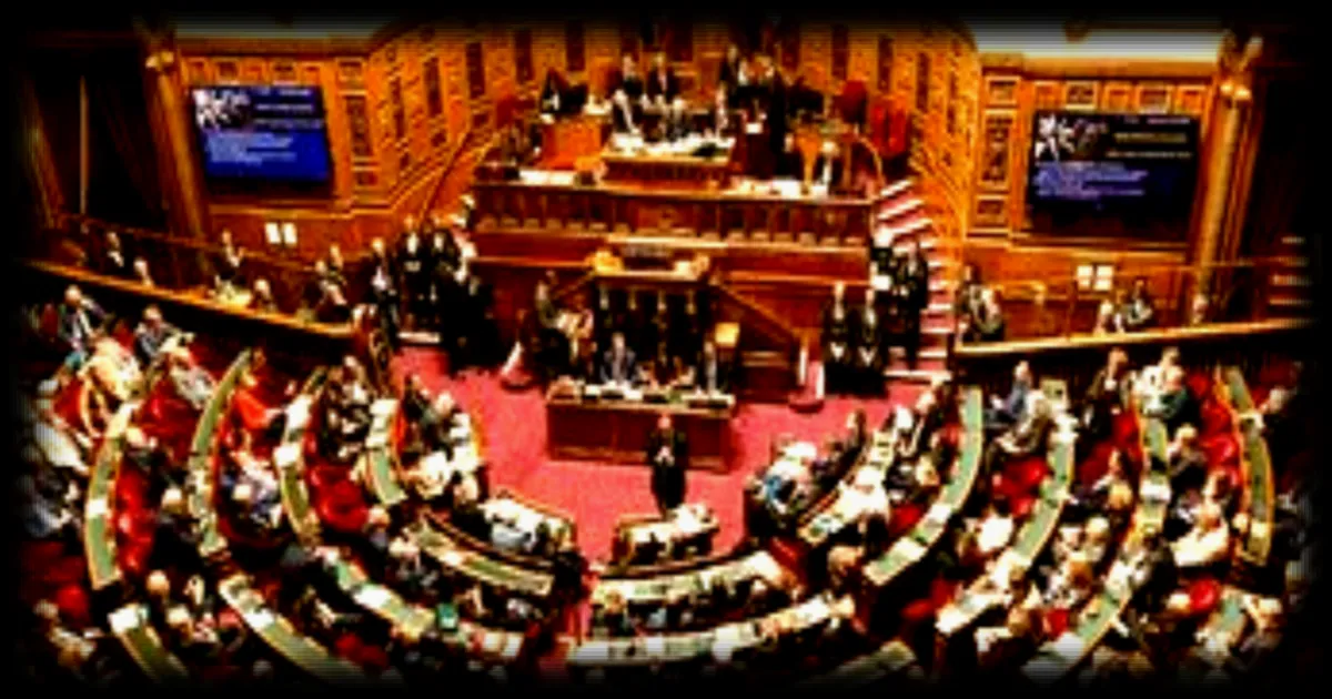 Le Sénat valide le travail du 1er-Mai pour les boulangers et fleuristes, l’Assemblée nationale saisie en septembre