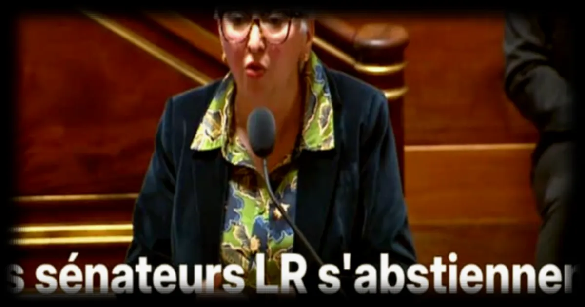 Le Sénat vote la suppression du « devoir conjugal », la droite majoritairement absente lors du scrutin