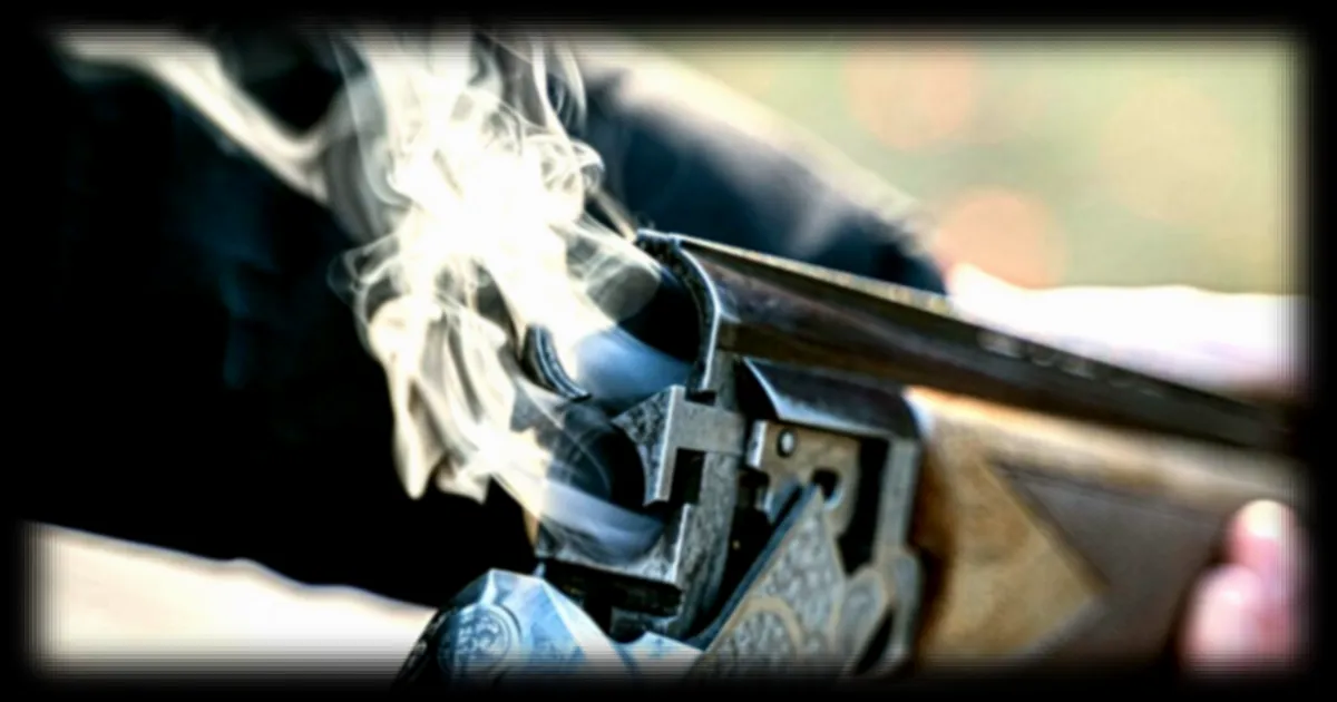 Le SIA piraté : les données des propriétaires d'armes à feu sont-elles exposées ?