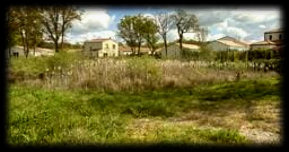 Le squelette d'un homme tué en 1955 découvert en Loire-Atlantique