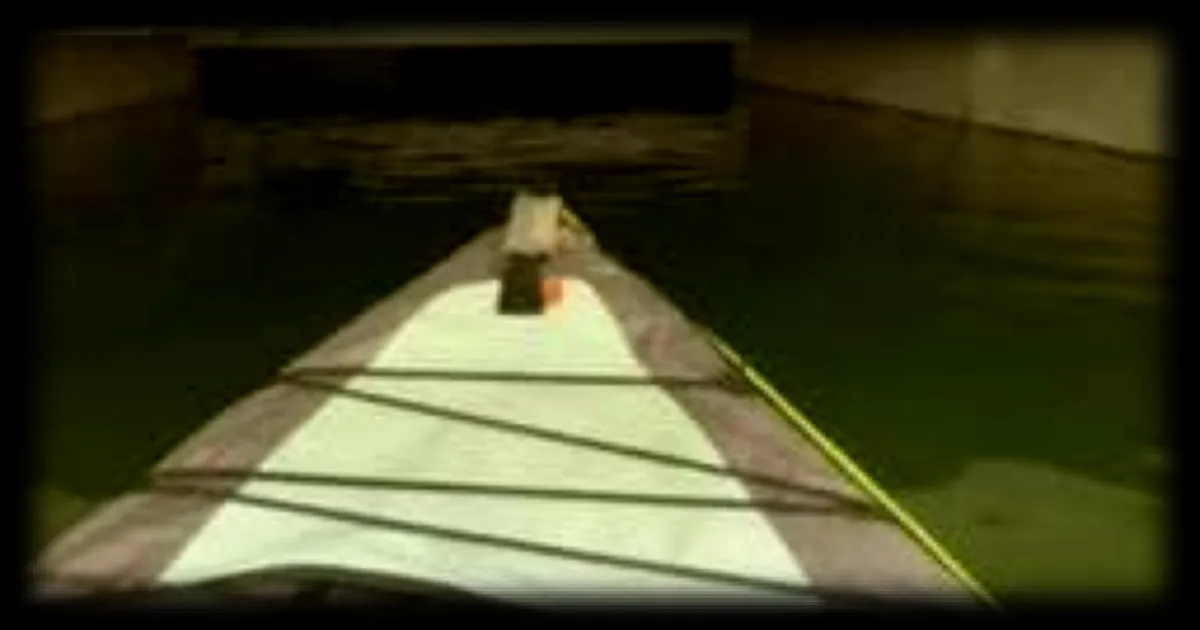 Le syndic de Angers fait le buzz dans un parking inondé