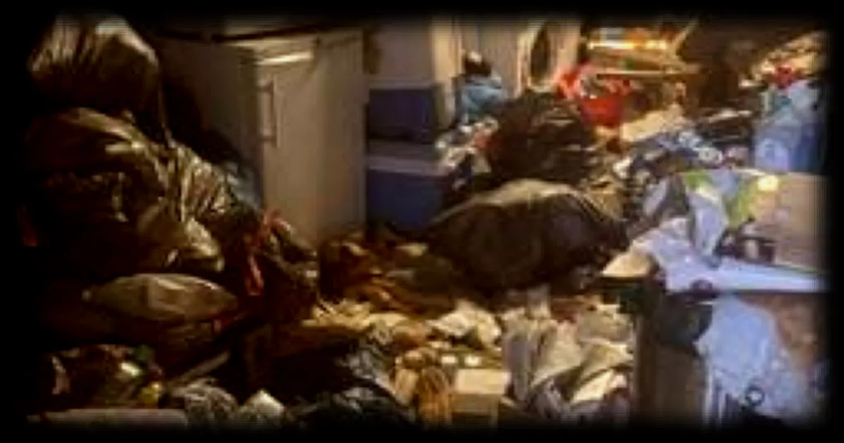 Le syndrome de Diogène : une entreprise de Mauléon aide à désencombrer les logements et propose un suivi préventif