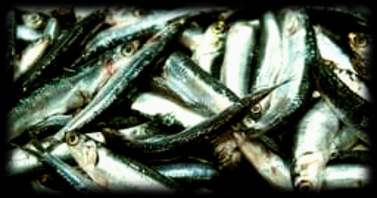 Le syndrome de l'odeur de poisson pourri : comprendre cette maladie héréditaire
