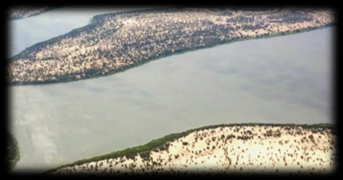Le Tchad réfute les accusations de l'ONU sur un bombardement de civils dans la région du lac