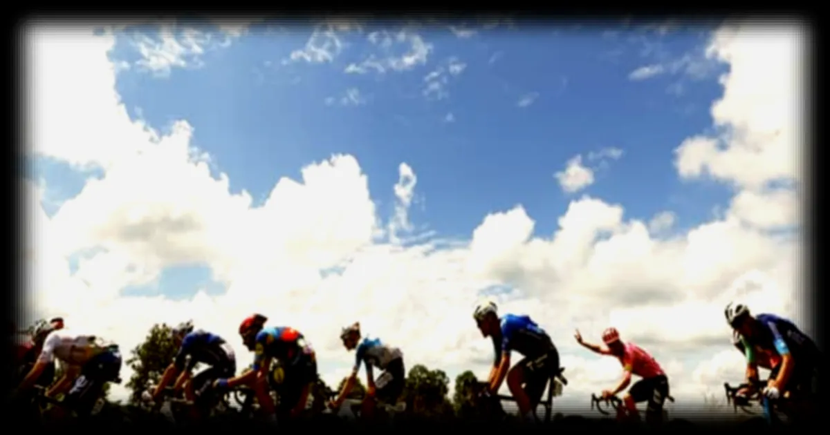 Le Tour de France 2026 : l'abattage de 1 071 arbres sur le Ballon d'Alsace suscite des inquiétudes chez les associations de protection de l'environnement