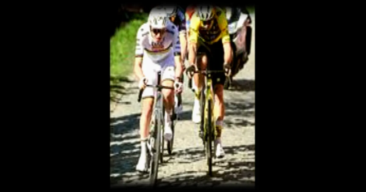 Le Vieux Quaremont, ascension mythique du Tour des Flandres