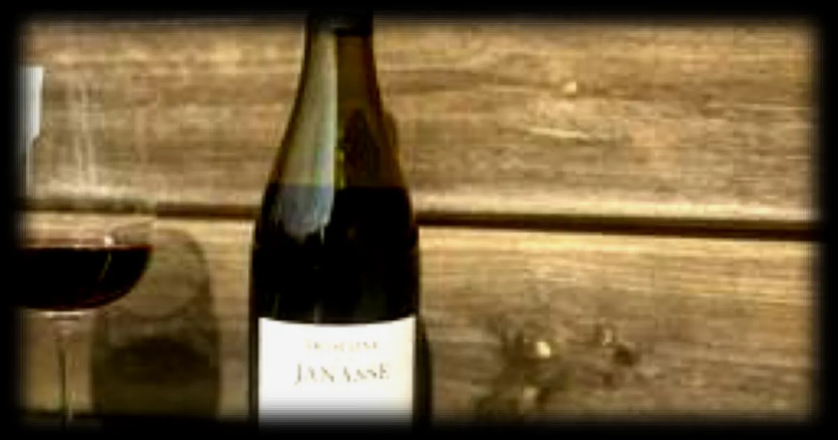 Le vin de la Janasse, un classique du domaine Sabon à Courthézon