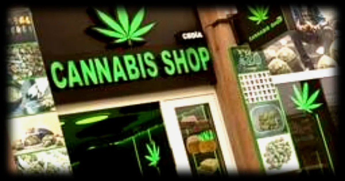 Légalisation du Cannabis en Allemagne : le Marché Noir Recule Après Deux Ans