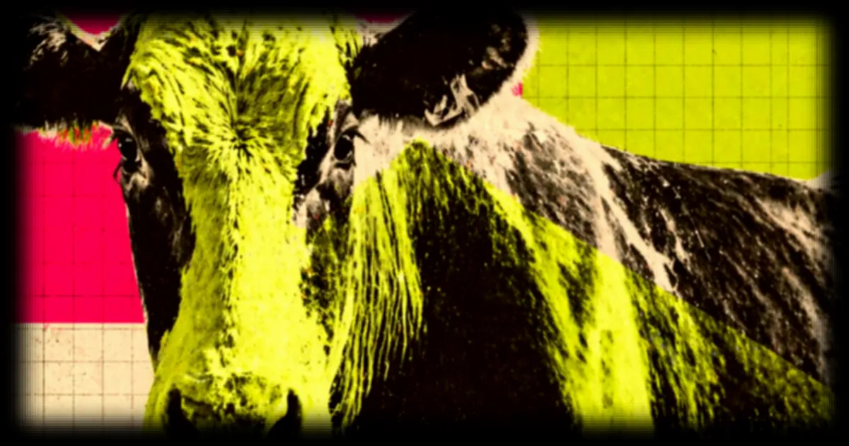 L'élevage sous le feu des critiques pour son greenwashing massif, révèle une étude de l'Université de Miami