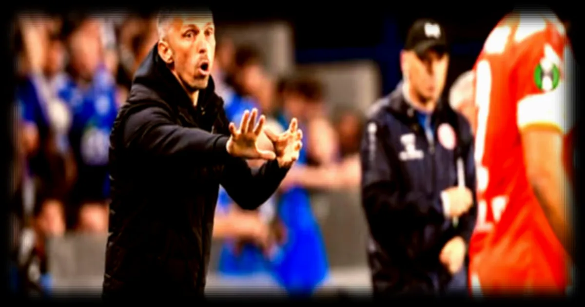 L'énorme colère de Gary O’Neil contre le 4e arbitre après le coup de coude contre Diego Moreira