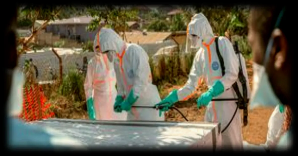 L’épidémie d’Ebola pourrait coûter jusqu’à 3,6 milliards de dollars et menacer 985 000 emplois en Afrique, selon l’ONU