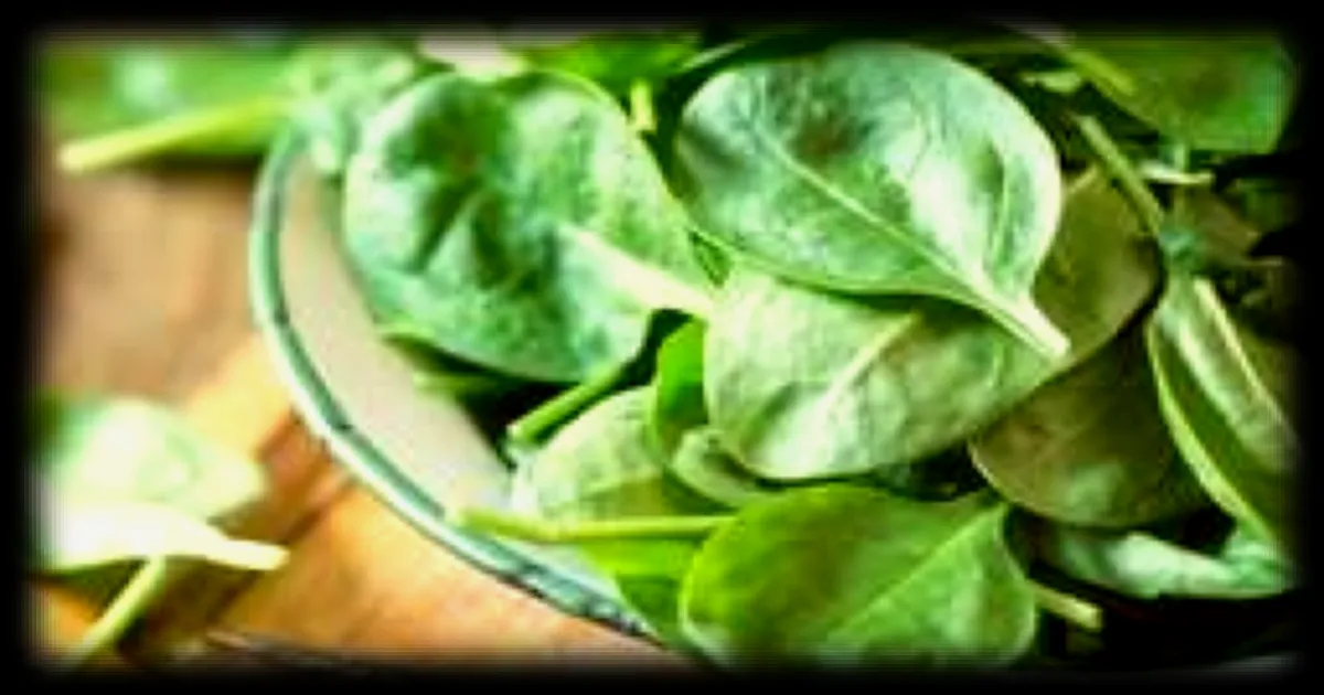 Les 12 fruits et légumes les plus chargés en pesticides : comment réduire les risques ?