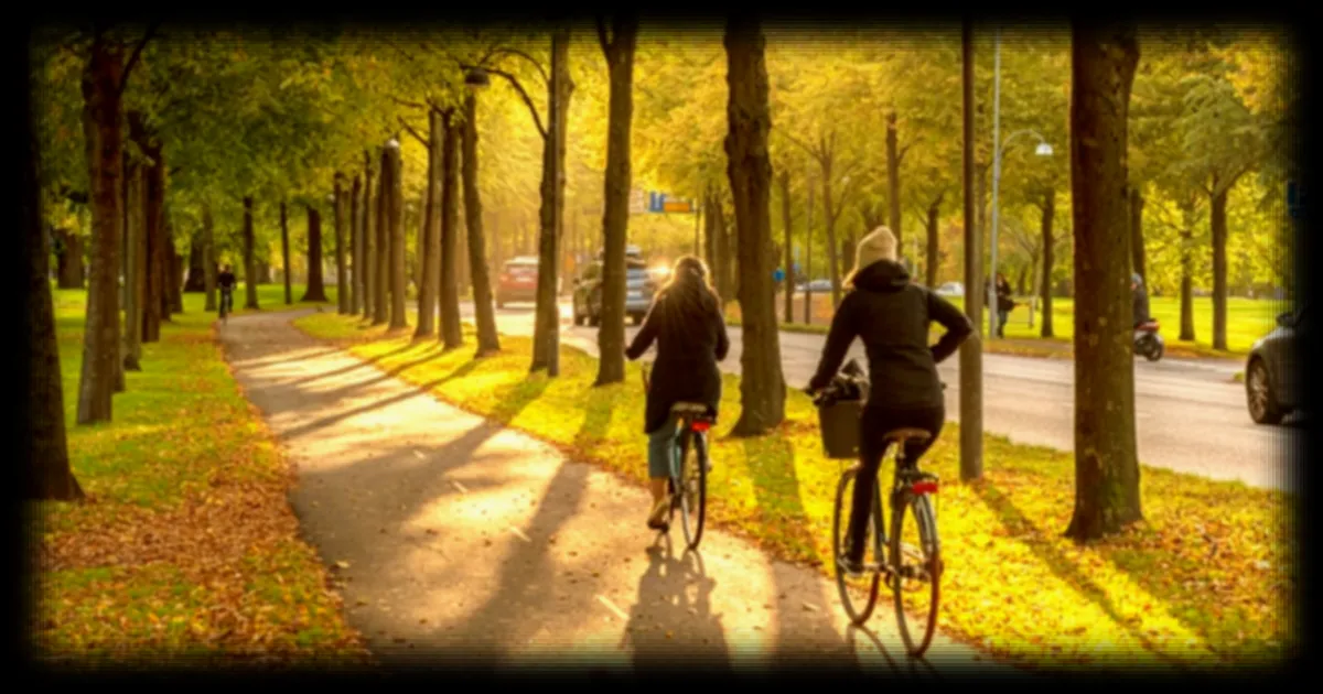 Les 5 habitudes simples à adopter pour rester en forme après un AVC, selon le médecin Tim Spector