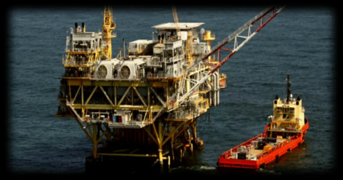 Les activités pétrolières et gazières menacent la faune et la flore du Golfe du Mexique