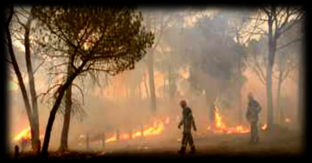 Les aides promises par Emmanuel Macron après les incendies dans le Var
