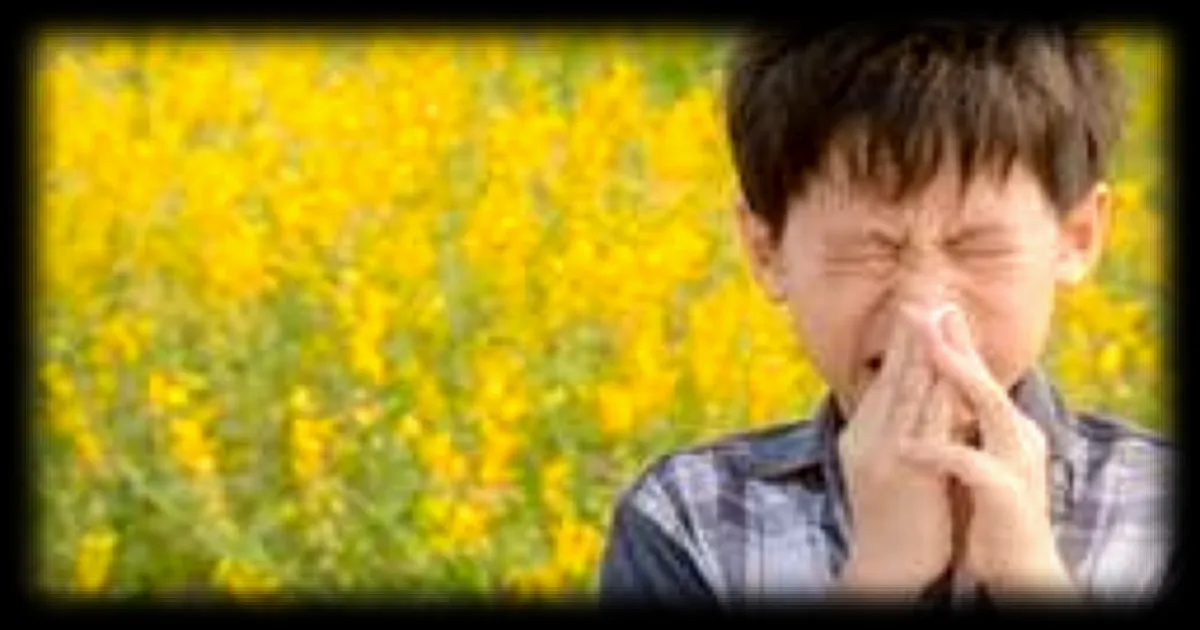 Les allergies : une prévalence en constante augmentation