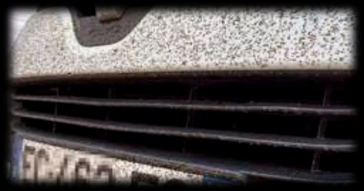 Les automobilistes invites a compter les insectes sur leur plaque d'immatriculation pour la recherche scientifique