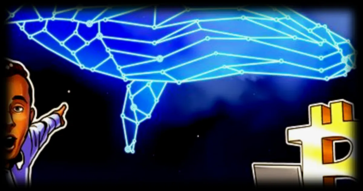 Les baleines bitcoin recommencent à accumuler autour de 71 000 $ selon Santiment