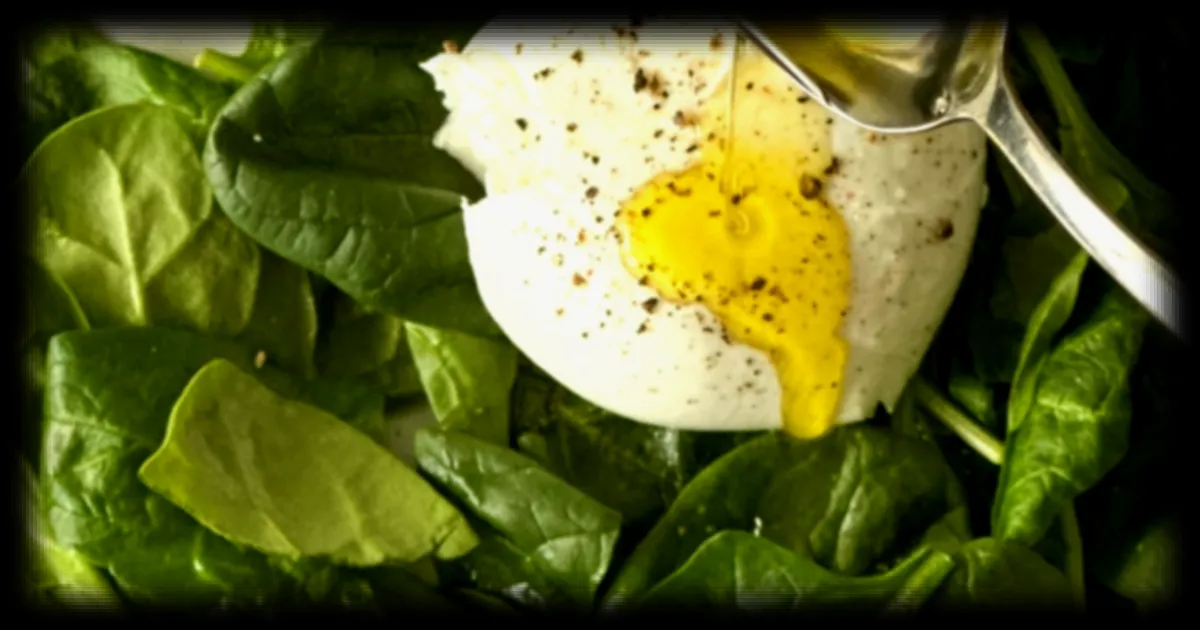 Les bienfaits de l'huile d'olive extra-vierge sur la santé cardiovasculaire, cérébrale et la longévité selon une étude récente