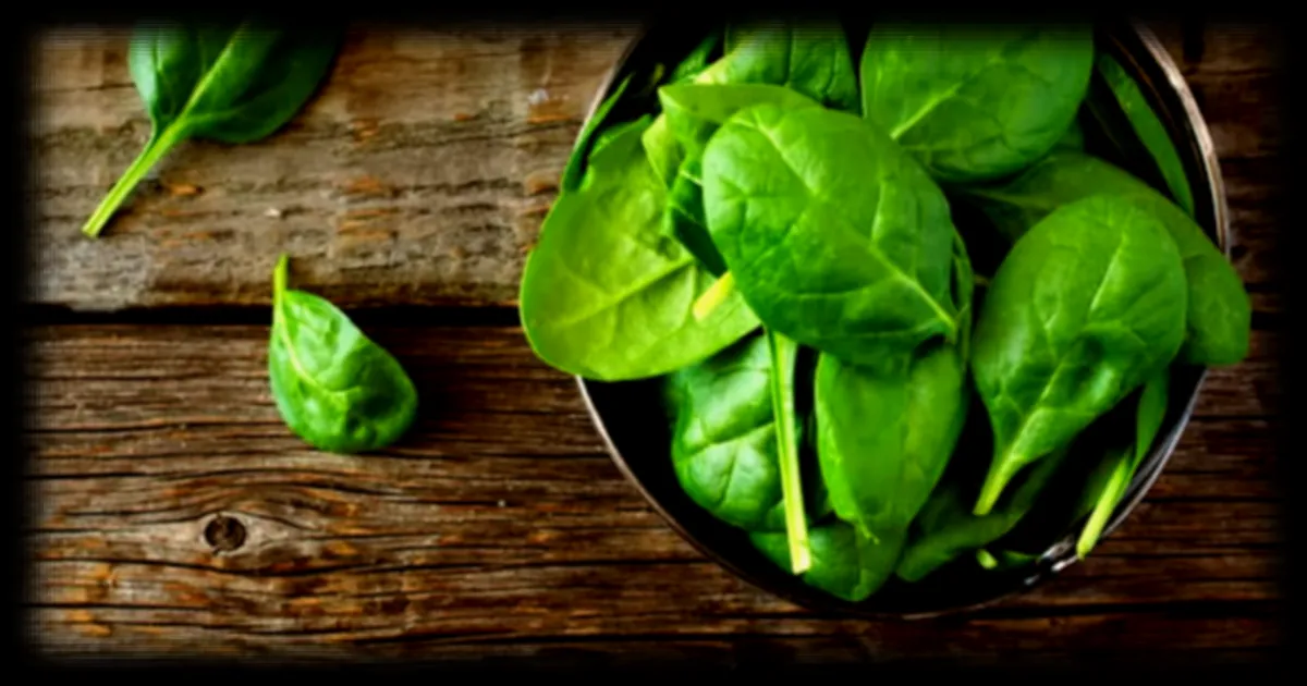 Les bienfaits des épinards pour la santé et leur valeur nutritionnelle