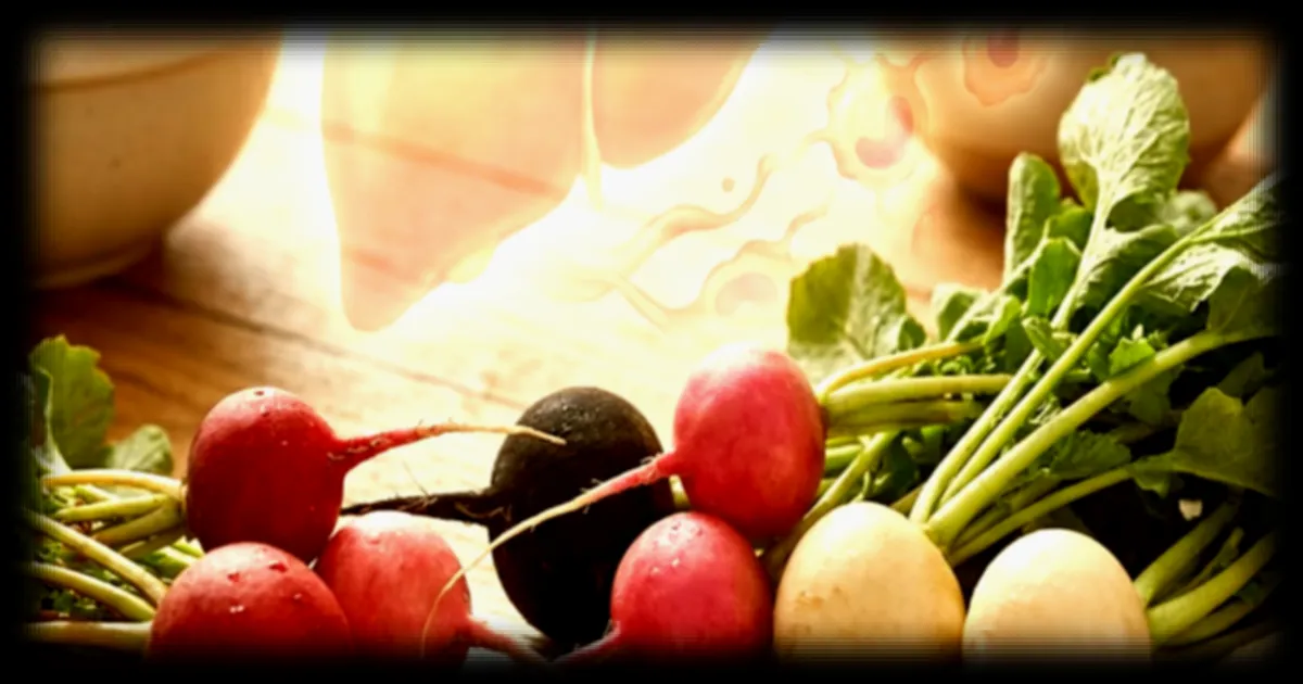 Les bienfaits insoupçonnés du radis pour la santé