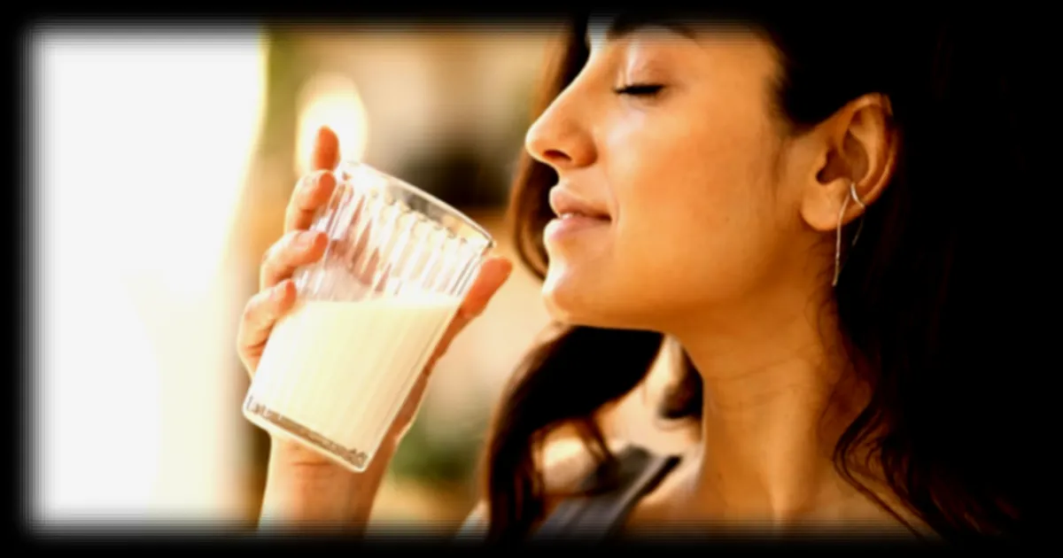 Les boissons fermentées : une alliée méconnue pour la santé intestinale ?