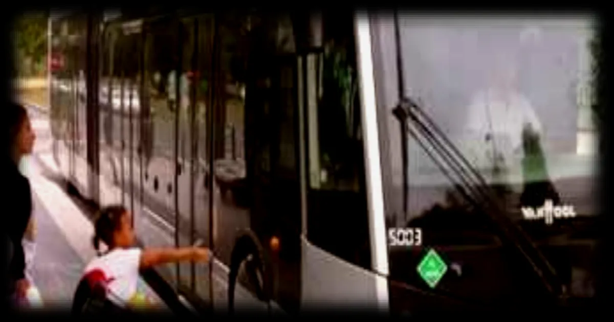 Les bus à hydrogène de Pau bientôt mis à l'arrêt : un fiasco à 13 millions d'euros ?