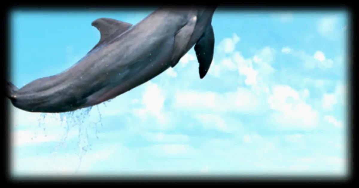 Les cétacés sont désormais « verrouillés » dans leur mode de vie aquatique