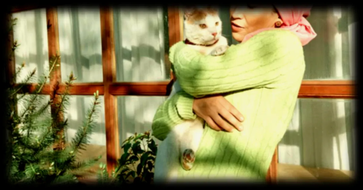 Les chats, alliés inattendus dans la recherche contre le cancer : une étude internationale révèle des similitudes génétiques majeures