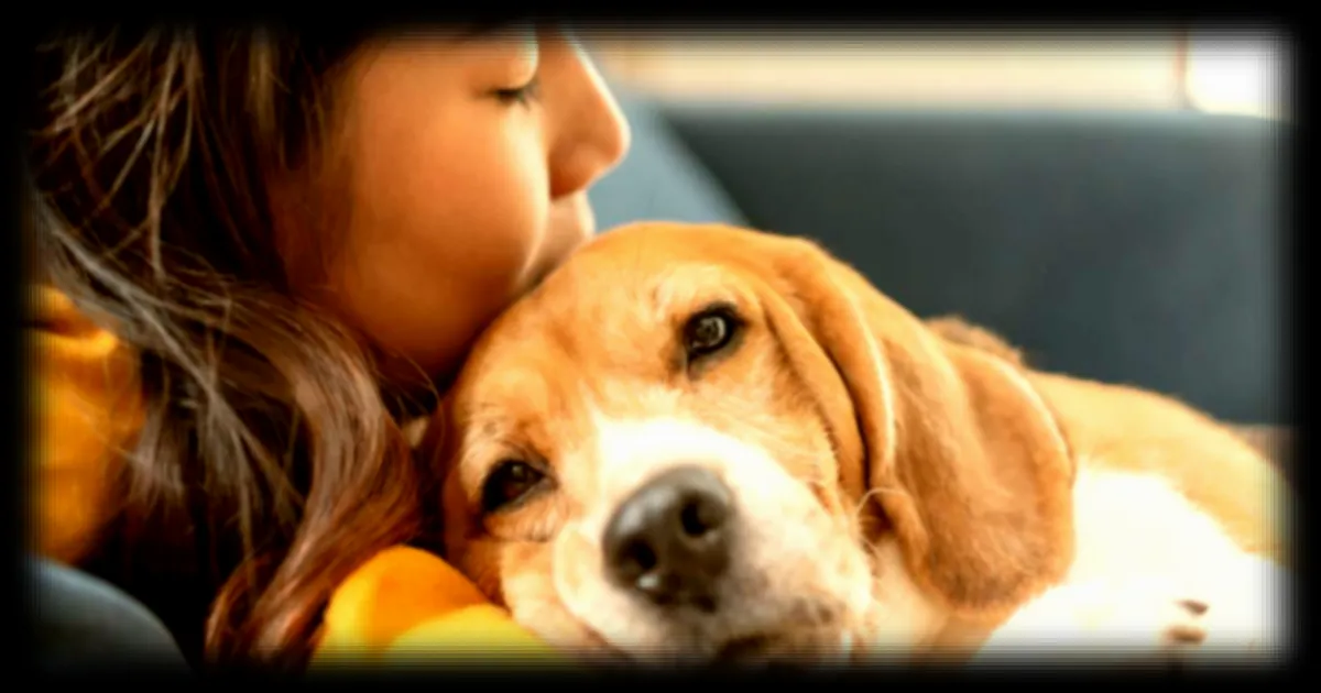 Les chiens ressemblent à leurs maîtres : une étude scientifique confirme le phénomène