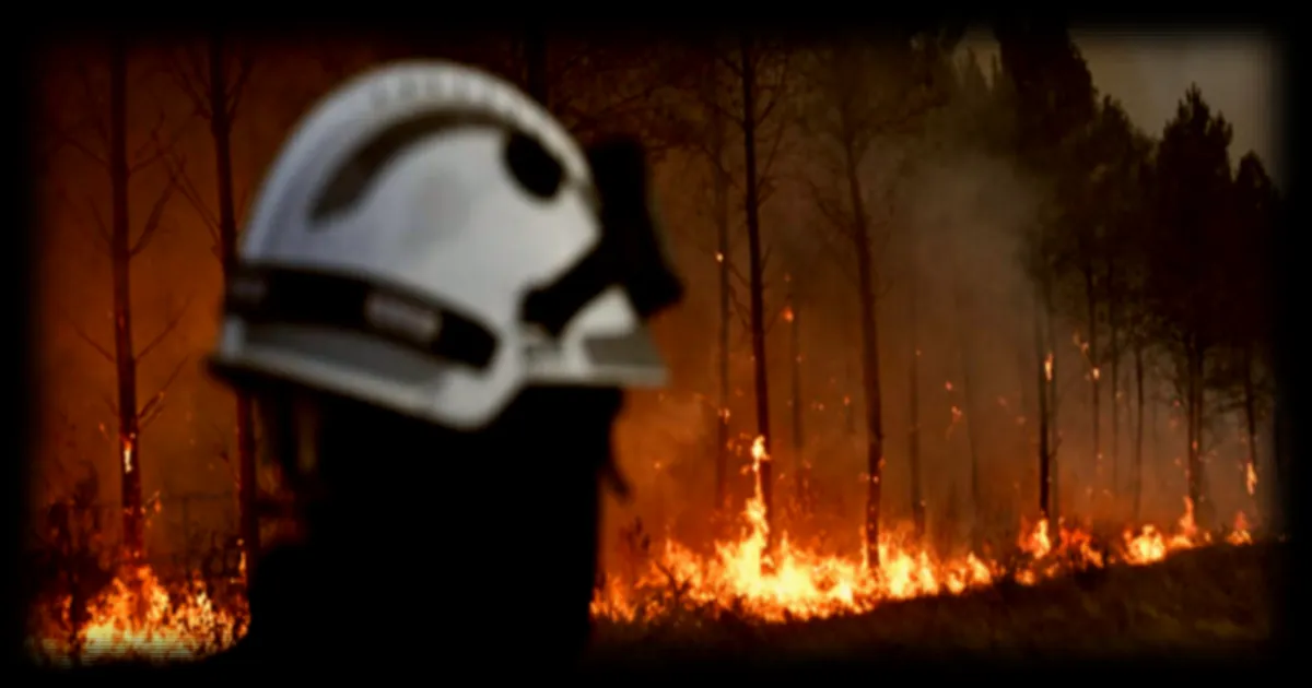 Les conditions climatiques, principal facteur favorisant les incendies
