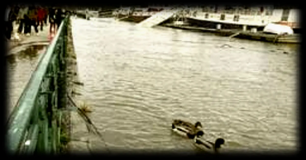 Les crues en Maine-et-Loire : un retour à la normale progressif attendu