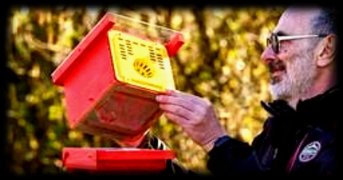 Les dispositifs de lutte contre les frelons asiatiques peuvent-ils être pris en charge ? Explications de la FDGDON