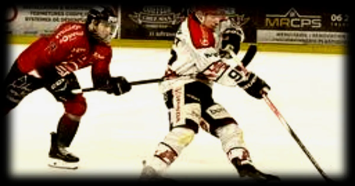 Les Dogs relancent la finale de D1 en remportant le match 2 contre Caen