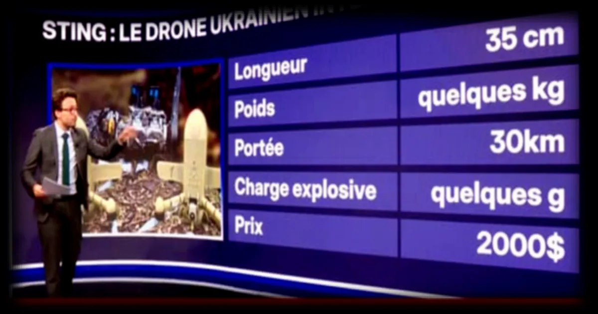 Les drones kamikazes, nouvelle arme fatale de l'Iran selon BMF - International