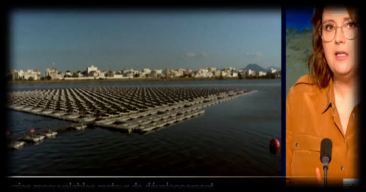 Les énergies renouvelables, catalyseur de développement selon Ember