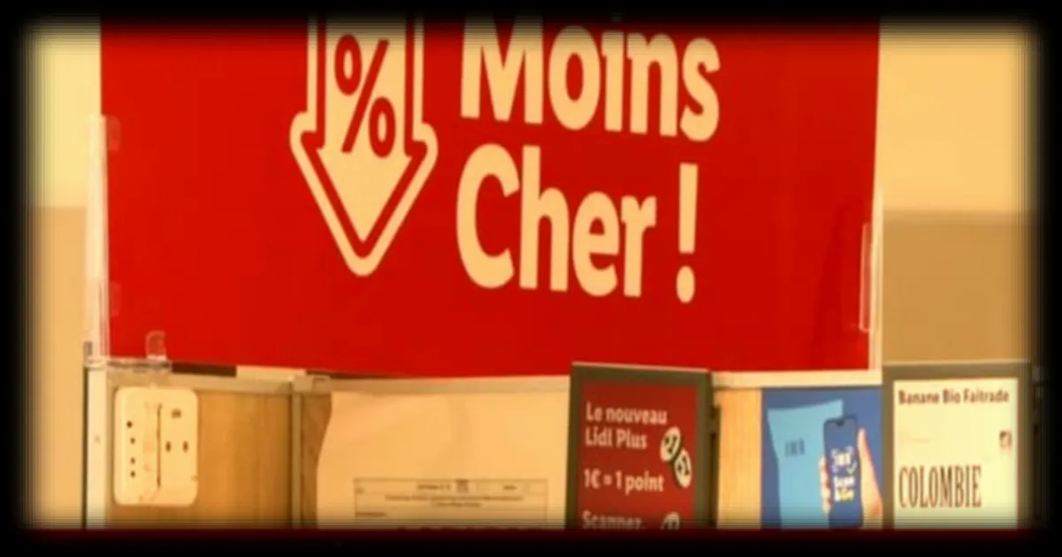 Les enseignes de hard-discount Lidl, Aldi et Normal s'installent dans les centres-villes