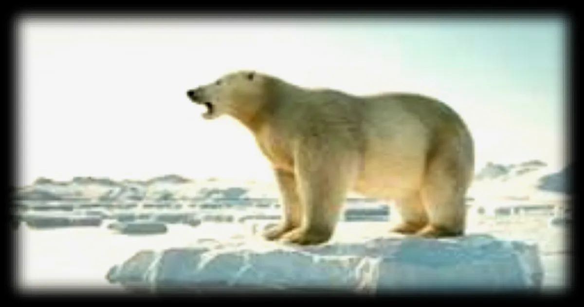 Les espèces en danger d'extinction : un défi pour la planète