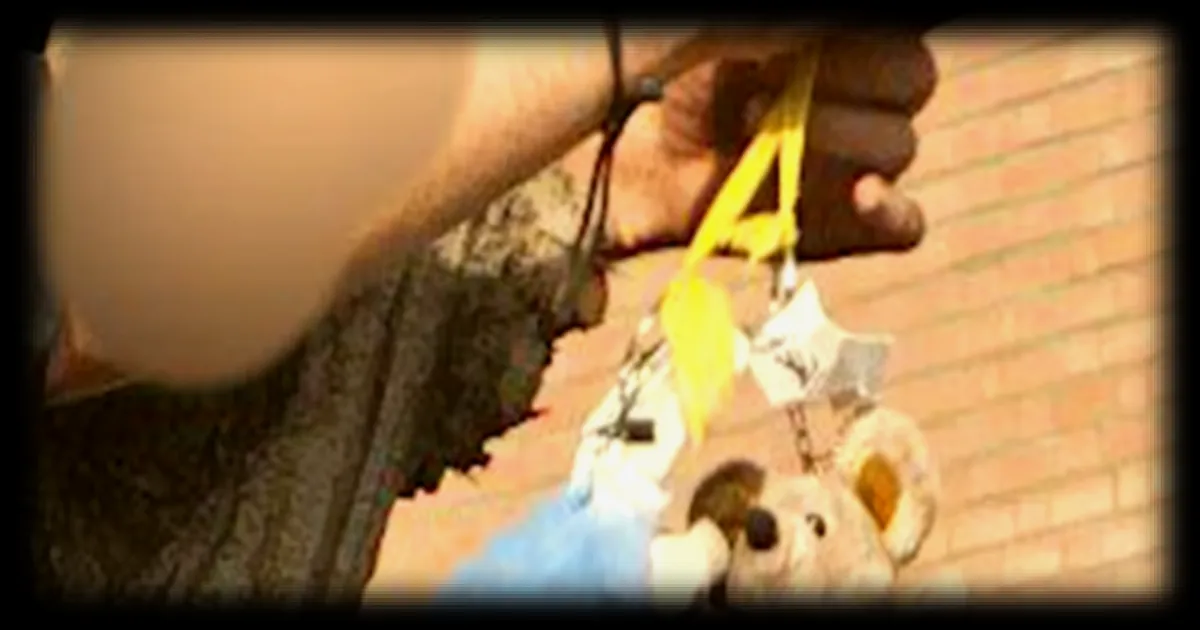 Les étudiants iraniens manifestent avec des peluches en guise de symbole de protestation