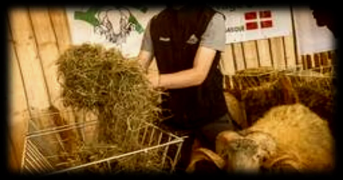 Les experts du Cirad alertent sur la multiplication des crises sanitaires liees a la propagation des maladies animales