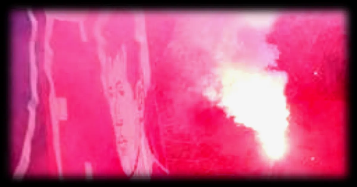 Les extrêmes politiques en question après la mort du militant Quentin Deranque