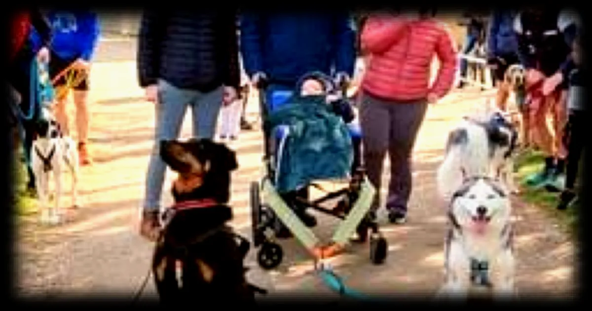 Les familles touchées par le handicap luttent contre l'isolement : les témoignages de parents en Deux-Sèvres