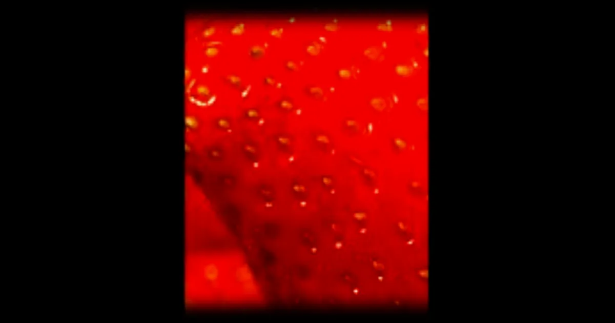 Les fraises : une palette de 600 nuances de rouge
