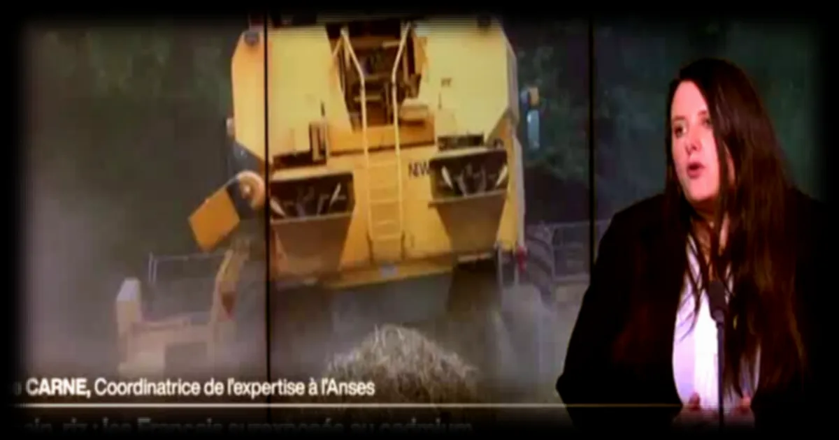 Les Français exposés à des niveaux élevés de cadmium via l'alimentation