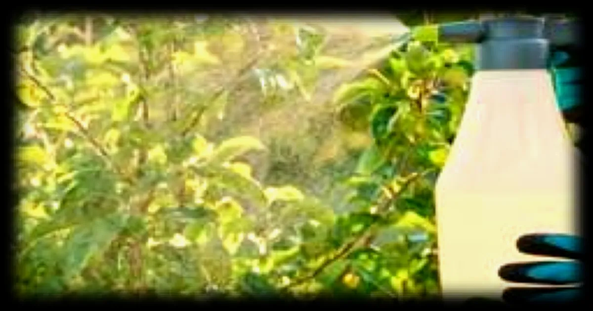 Les huiles essentielles : une nouvelle approche pour lutter contre les ravageurs et maladies des plantes