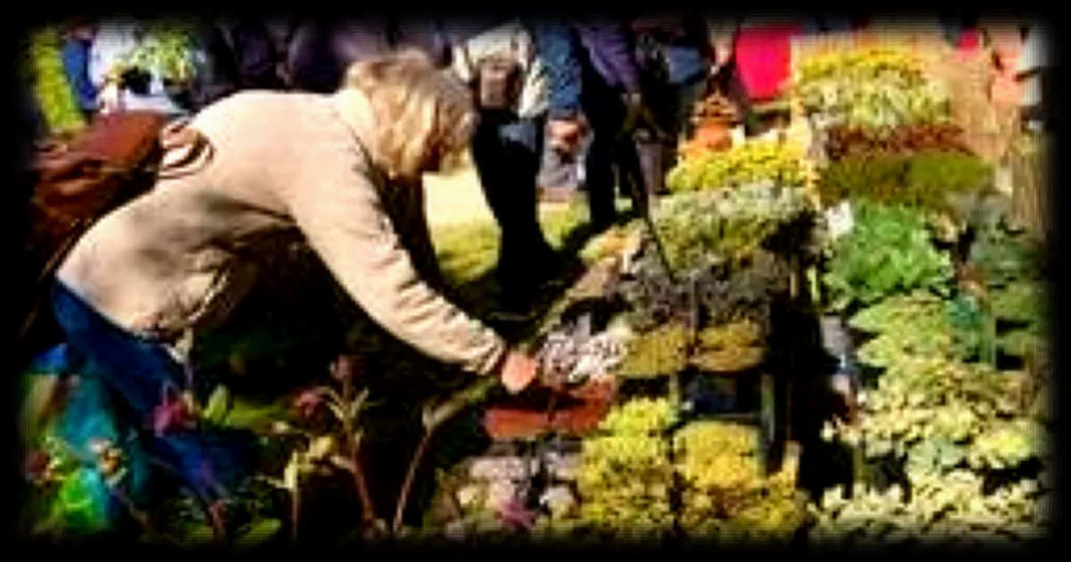 Les incontournables du mois d'avril pour les amateurs de jardinage