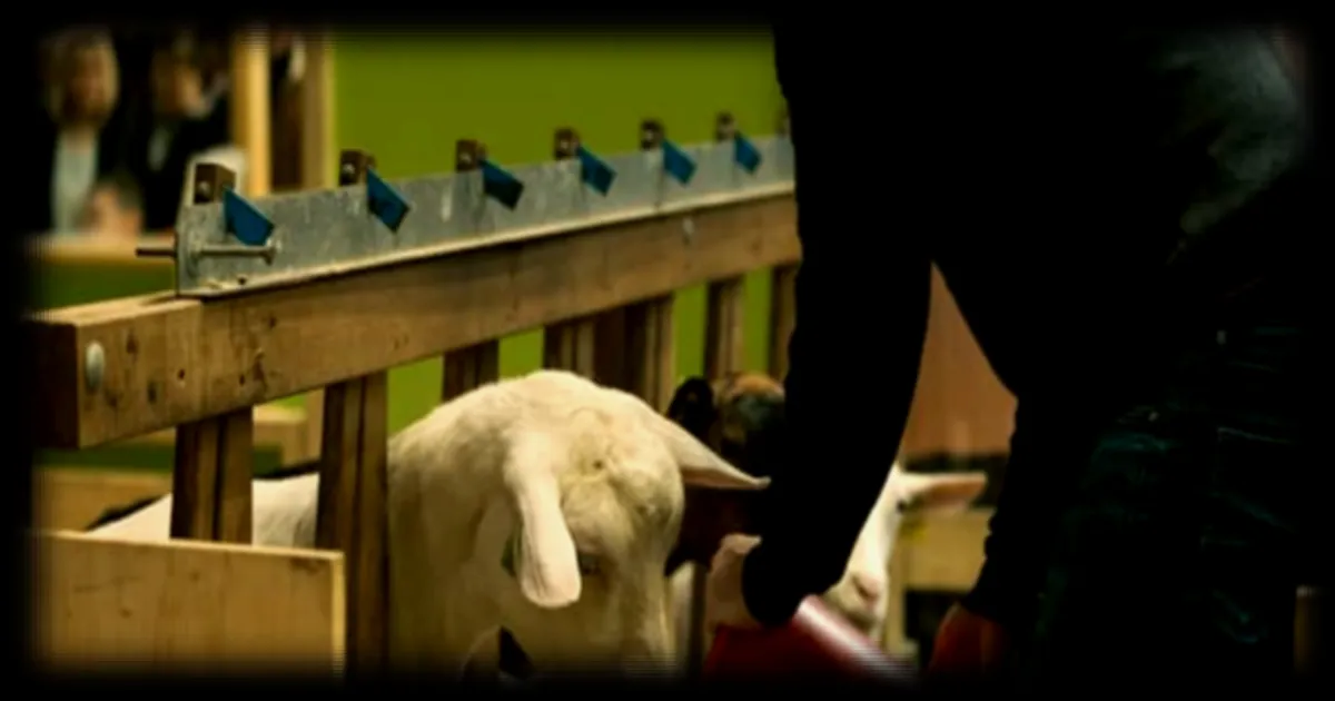 Les inégalités de niveau de vie plus marquées chez les agriculteurs selon une étude de l'Insee