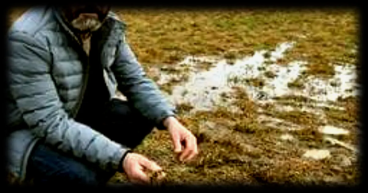 Les inondations en Pays de la Loire : bilan et conséquences pour les agriculteurs