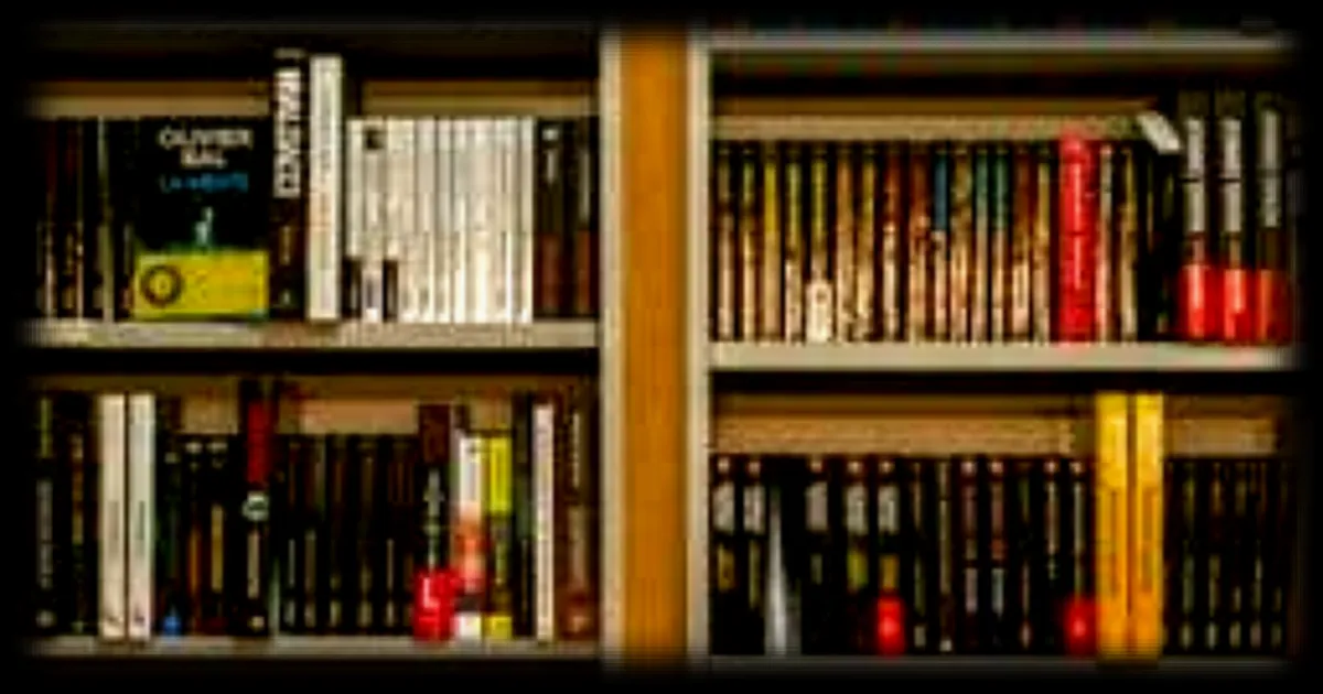 Les libraires de La Petite gare à Rezé partagent leurs coups de cœur